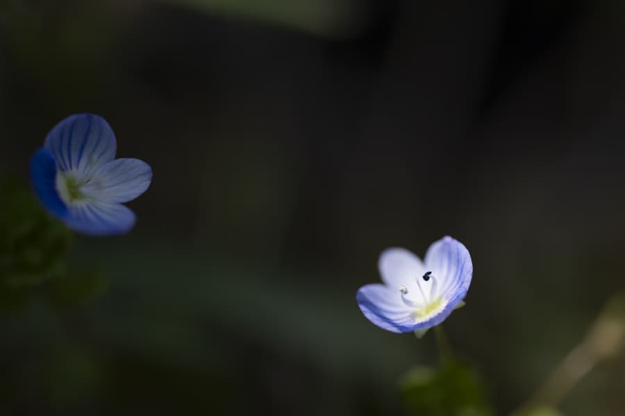dsc_7646.jpg