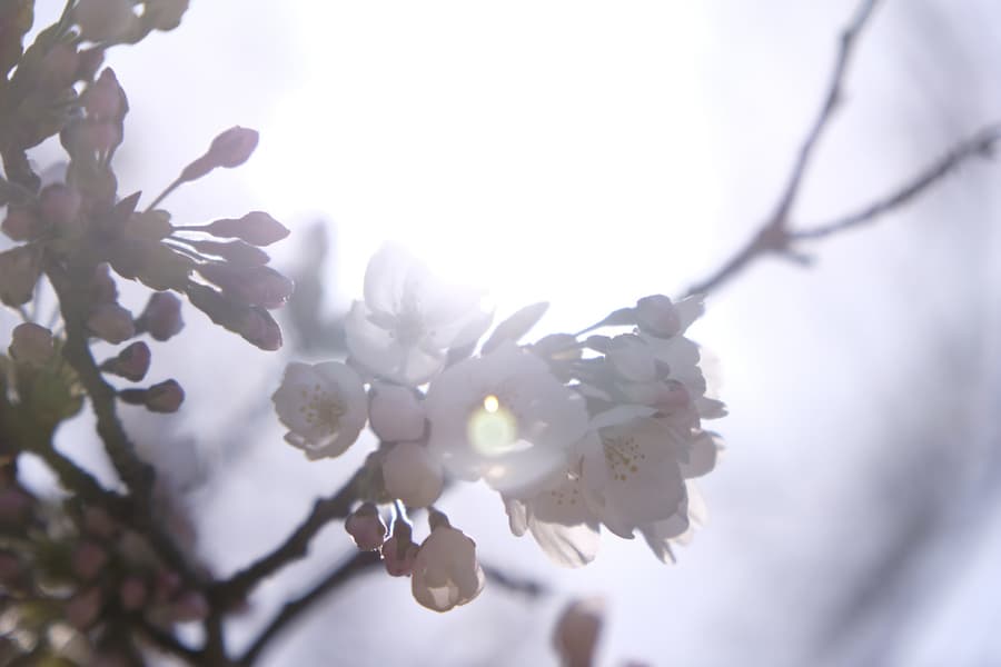 dscf0391.jpg