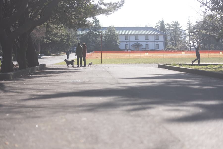 dscf8796.jpg