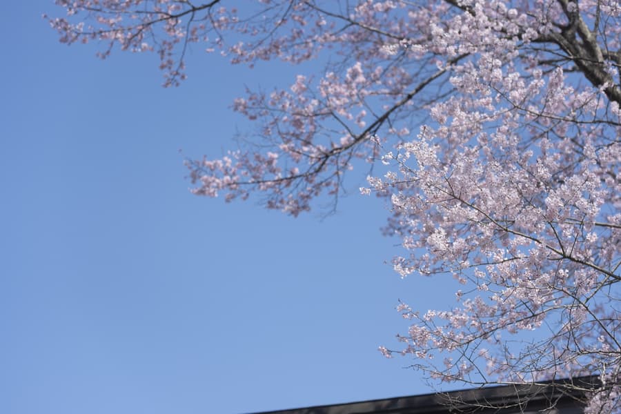 dscf8931.jpg