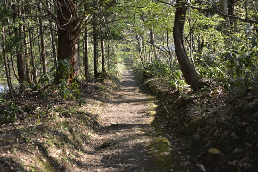 20140503_03.jpg