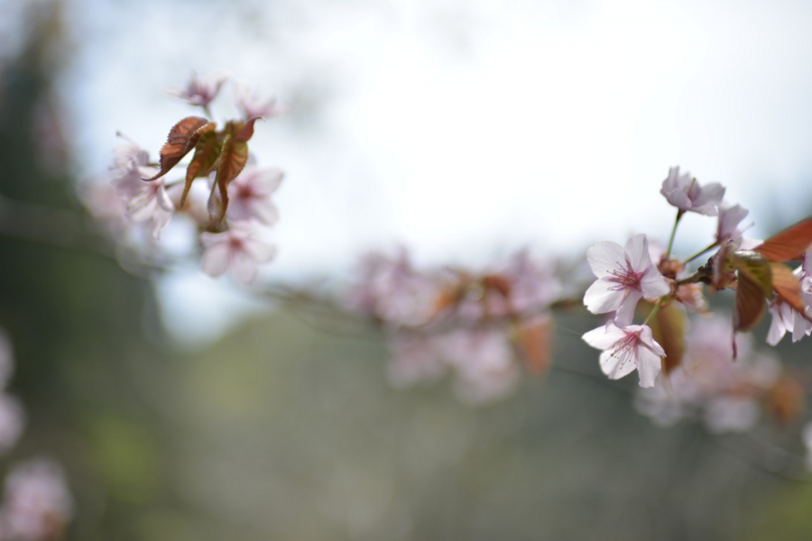 20140503_01.jpg