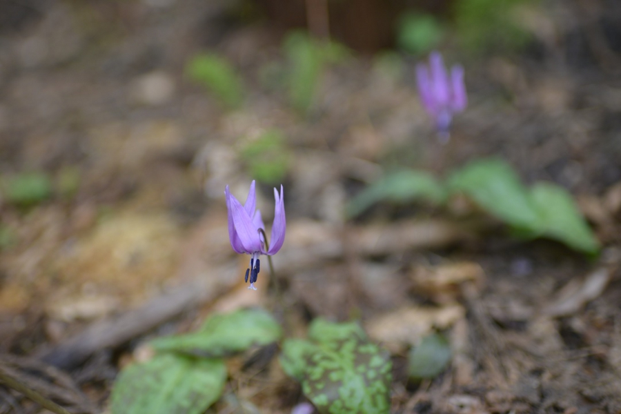 20140503_11.jpg