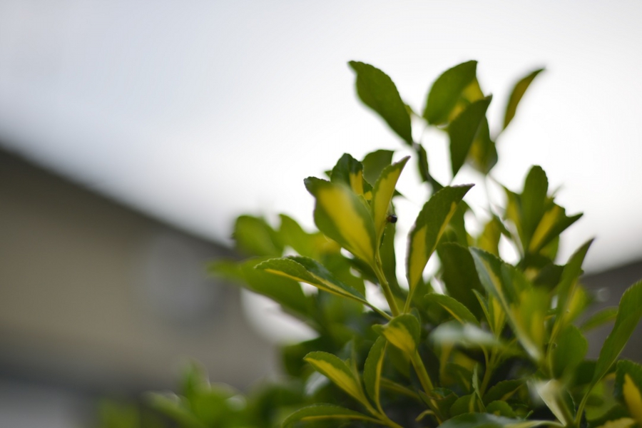 20140503_16.jpg