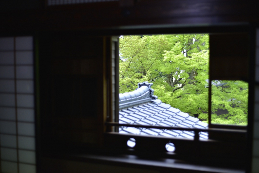20140503_19.jpg