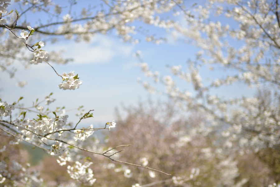20140503_24.jpg