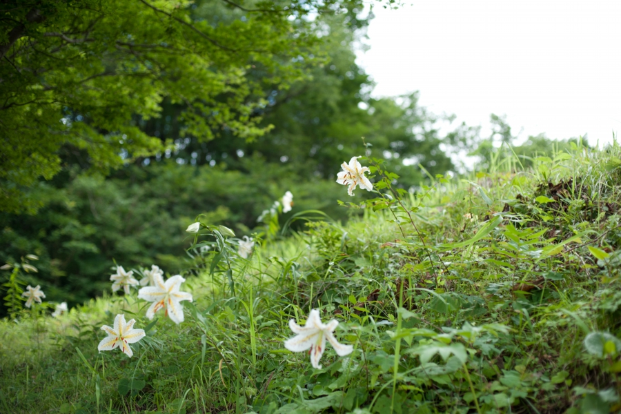 aone_024.jpg
