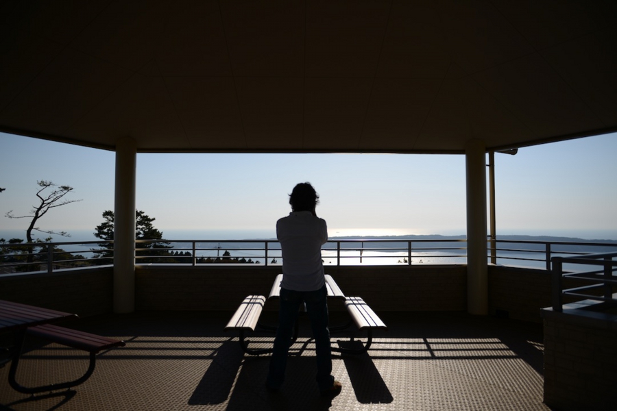 oshika_0001.jpg