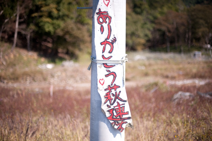 oshika_0002.jpg