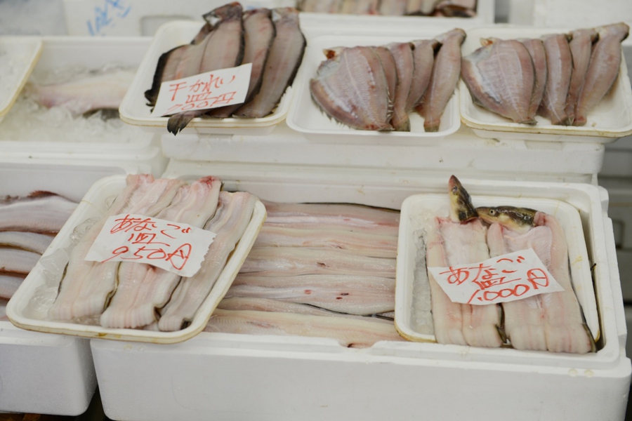 oshika_0019.jpg