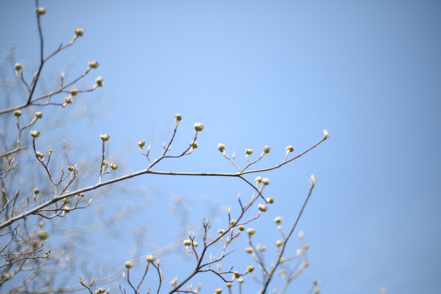 select_0048.jpg