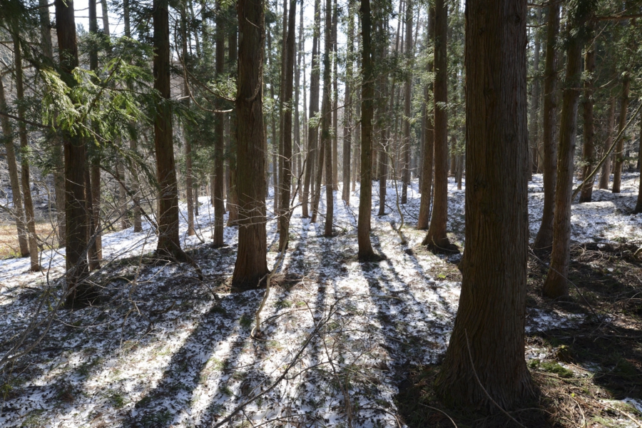 20170416_025.jpg