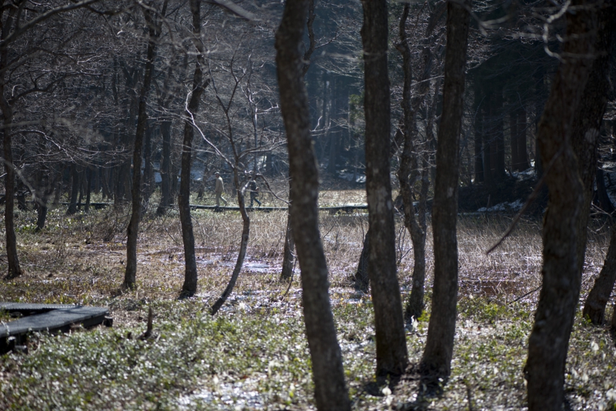 20170416_027.jpg