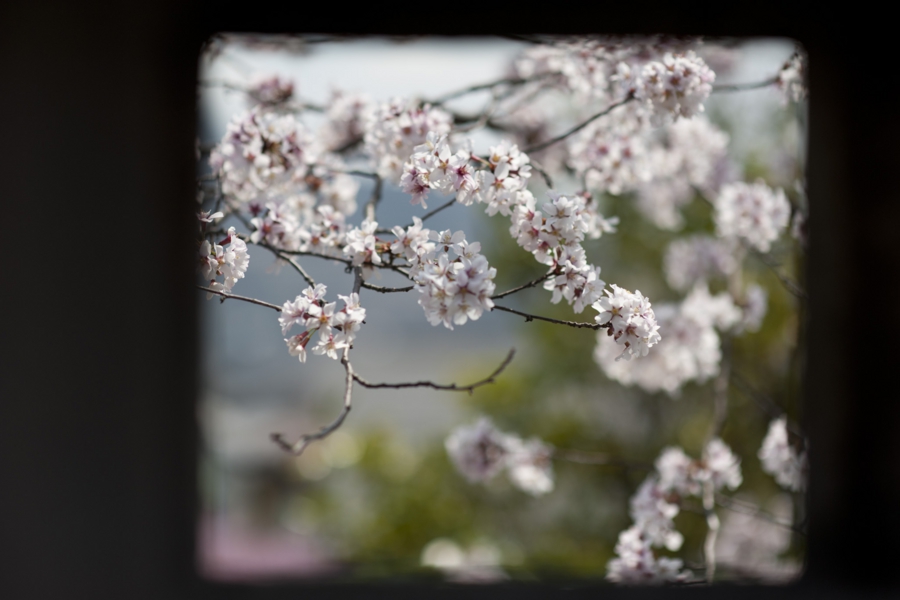 20170416_042.jpg