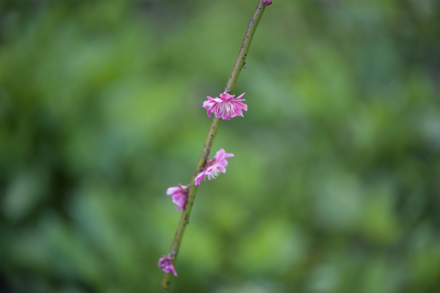 20170416_045.jpg